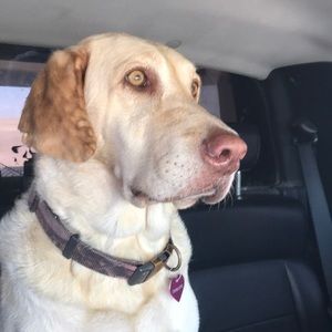 Meet your Posher, Cindy